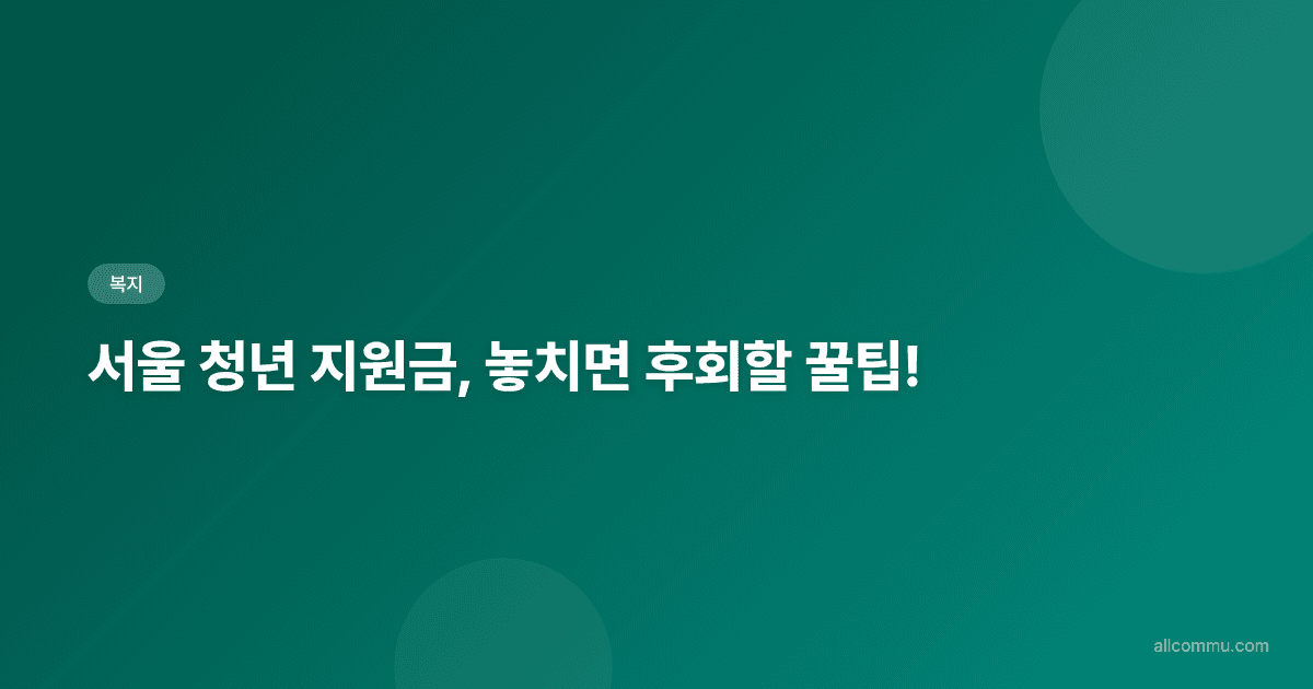 2024 서울 청년 지원금, 놓치지 마세요! 총정리 및 신청 가이드