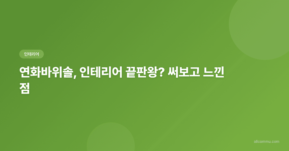식물 킬러도 성공! 연화바위솔 인테리어로 우리 집이 달라졌다