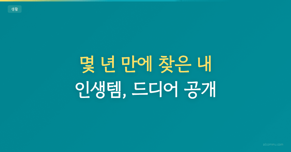 몇 년 만에 찾은 내 인생템, 드디어 공개
