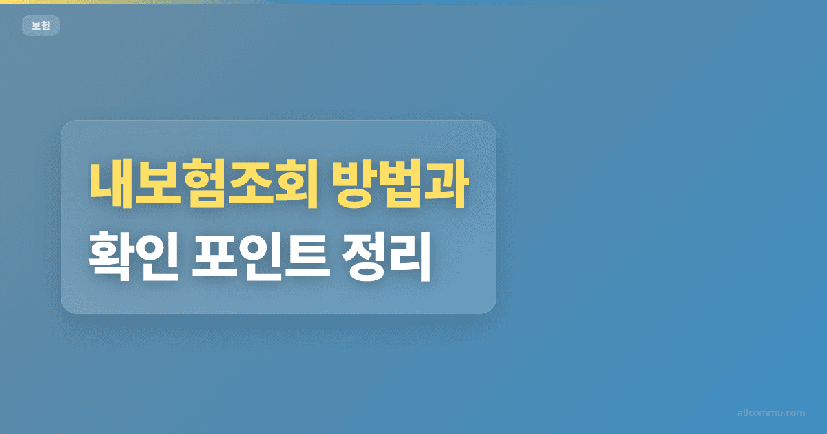 내보험조회 방법 비교, 앱별 차이 체크