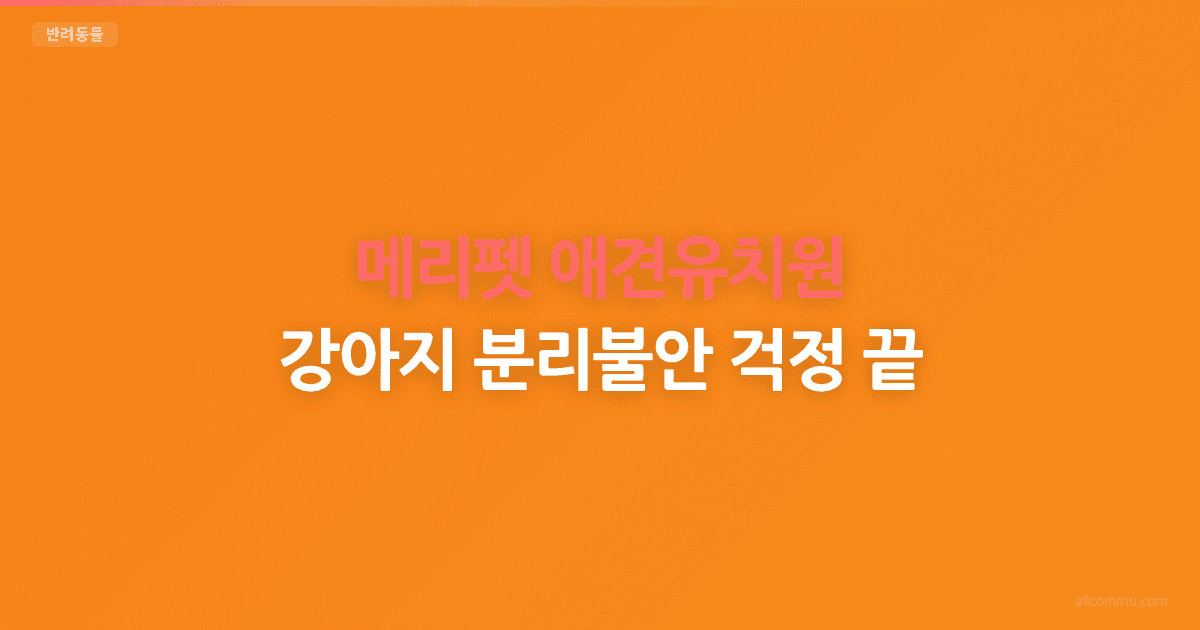 메리펫 애견유치원, 강아지 분리불안 걱정 끝!