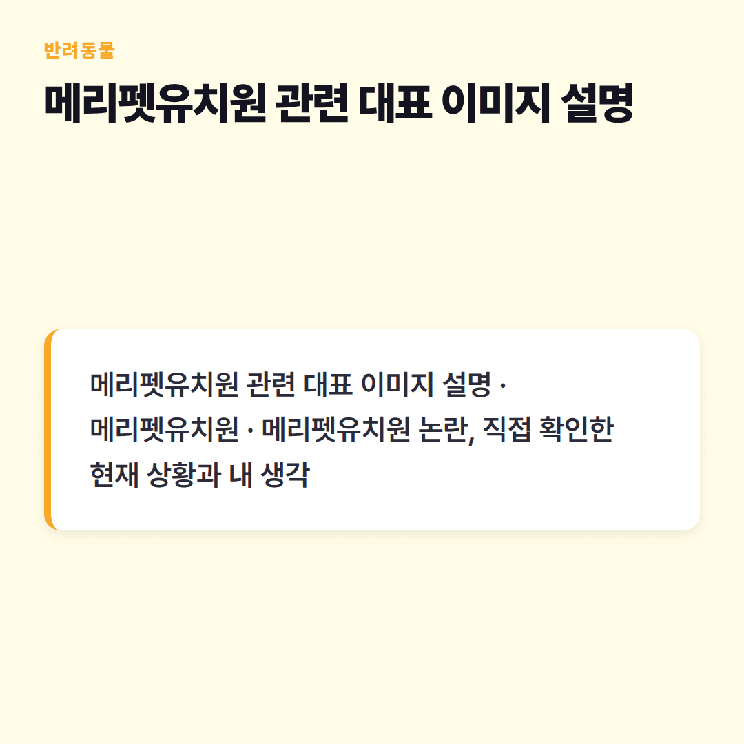 메리펫유치원 선택 전 꼭 알아야 할 점들