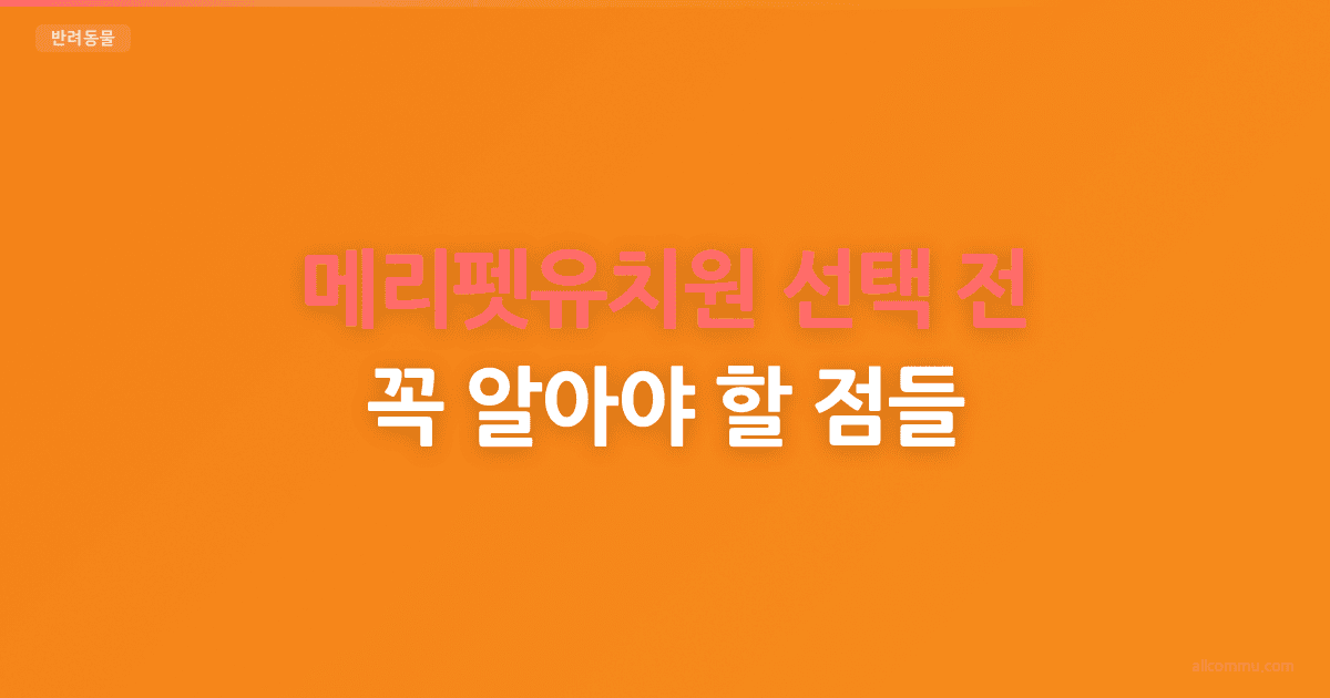 메리펫유치원 선택 전 꼭 알아야 할 점들