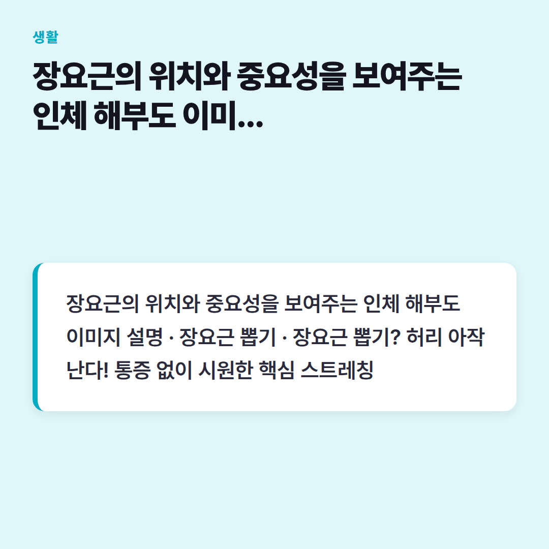 그 고질적인 허리통증, 이걸로 잡았어요