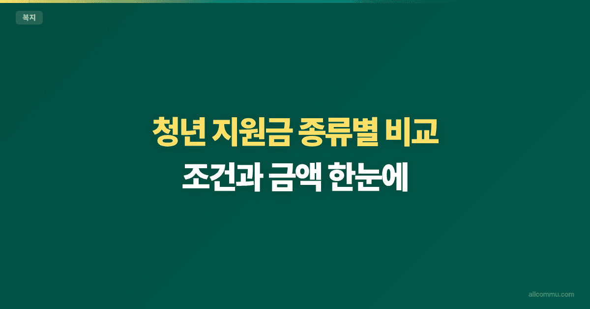 청년 지원금 종류별 비교 — 조건과 금액 한눈에
