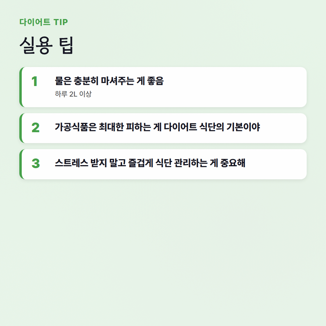 다이어트 식단 비교: 효과적인 식단, 내 몸에 맞게 고르자! - 실용 팁