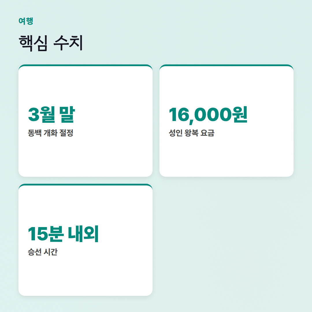 지심도 동백꽃 개화: 3월 말~4월 초가 만개 절정이에요! - 핵심 수치