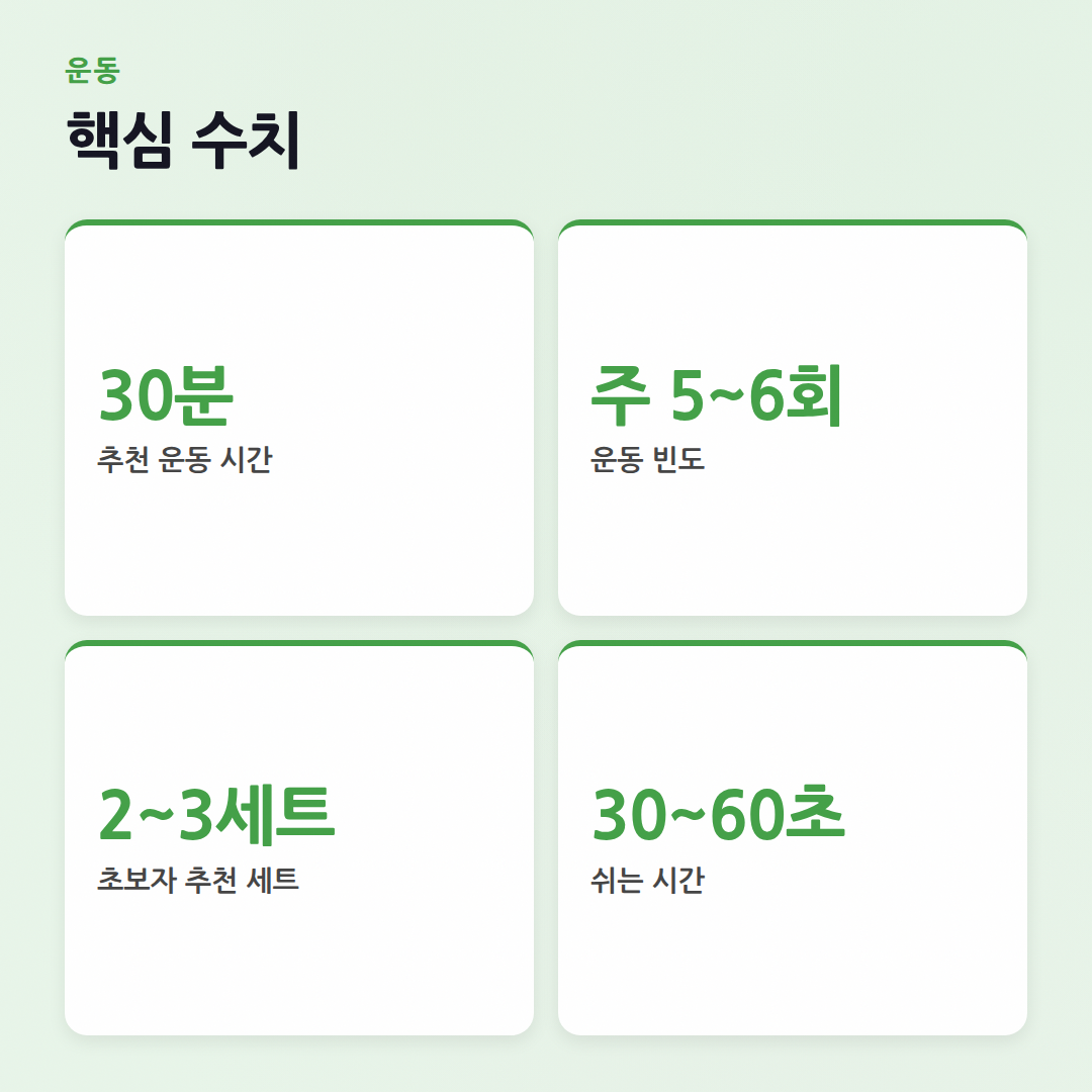 홈트레이닝 초보 가이드: 딱 30분, 매일 하는 법 - 핵심 수치