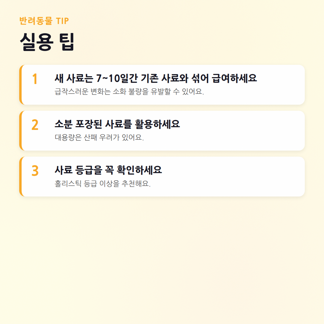 우리 아이 맞춤형! 인기 사료 브랜드 비교 분석 (2026년 기준) - 실용 팁