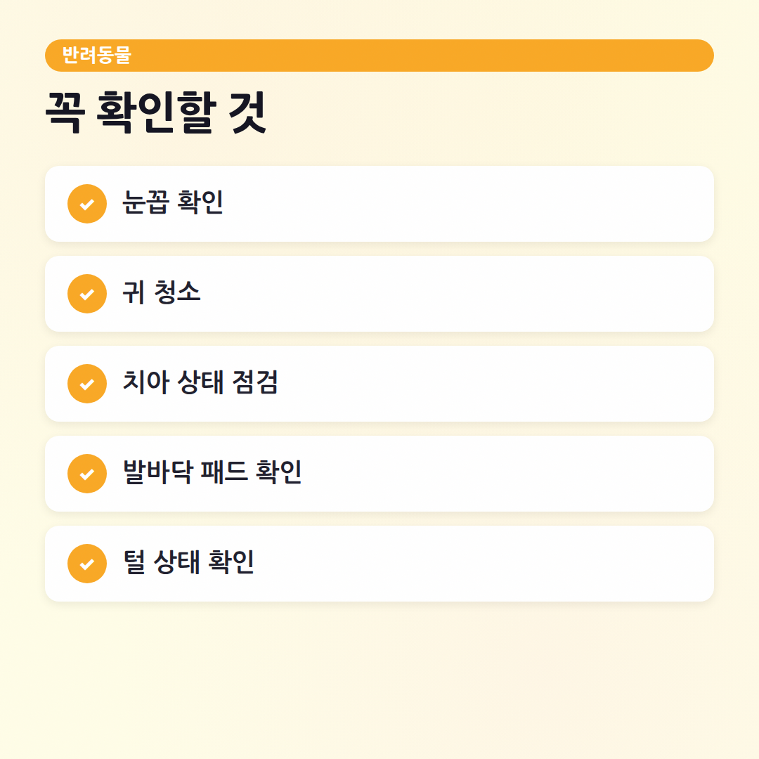 반려동물 건강 체크리스트, 매일 확인해요! (3년차 육아맘의 꼼꼼 루틴) - 체크리스트