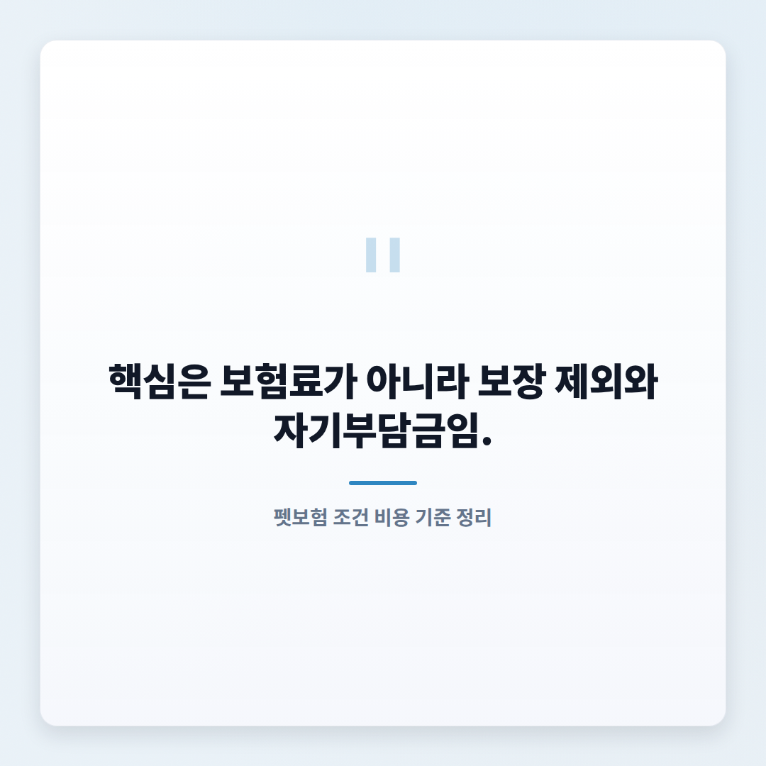 펫보험 가입 전 확인할 조건·비용·보장 기준 - quote