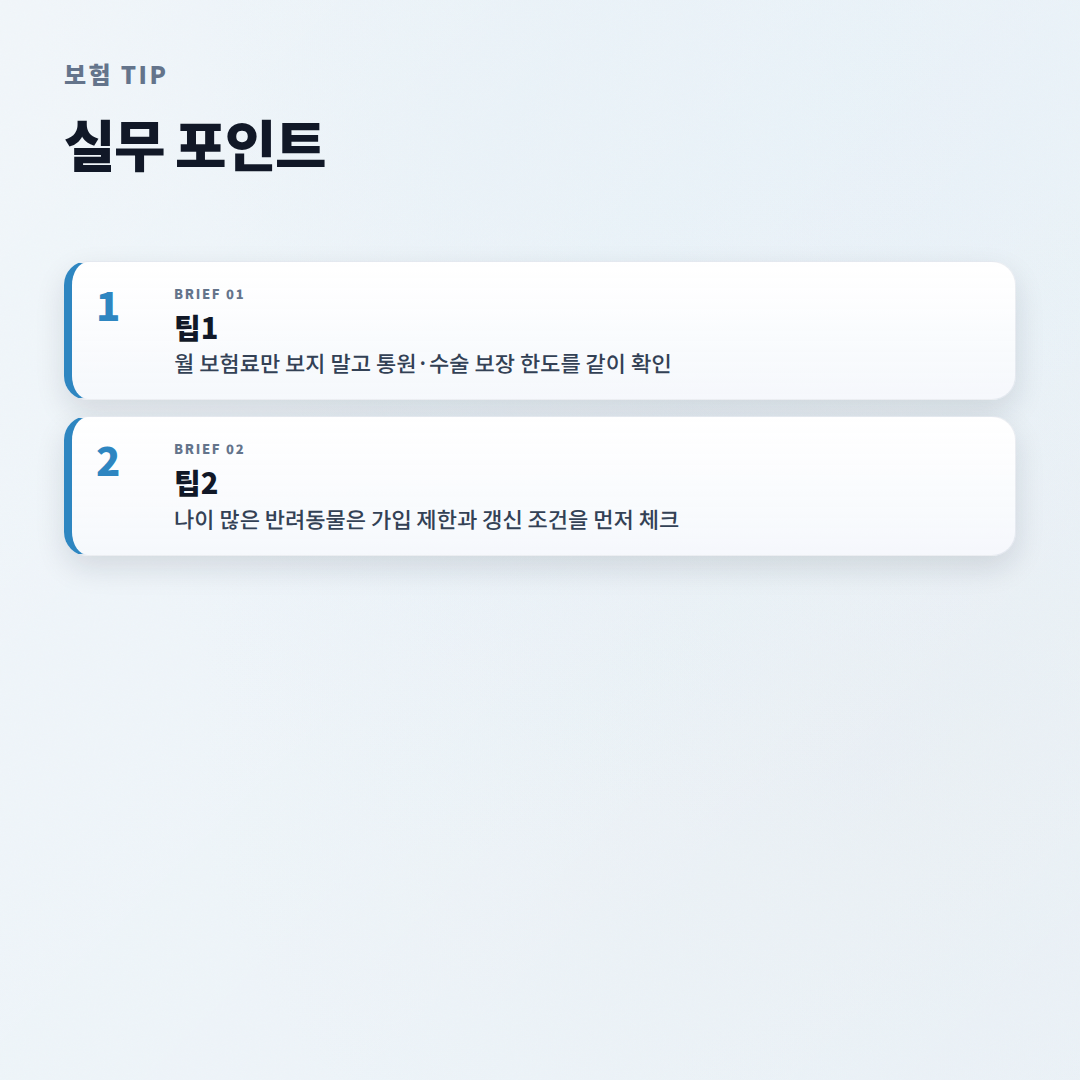 펫보험 가입 전 확인할 조건·비용·보장 기준 - tips