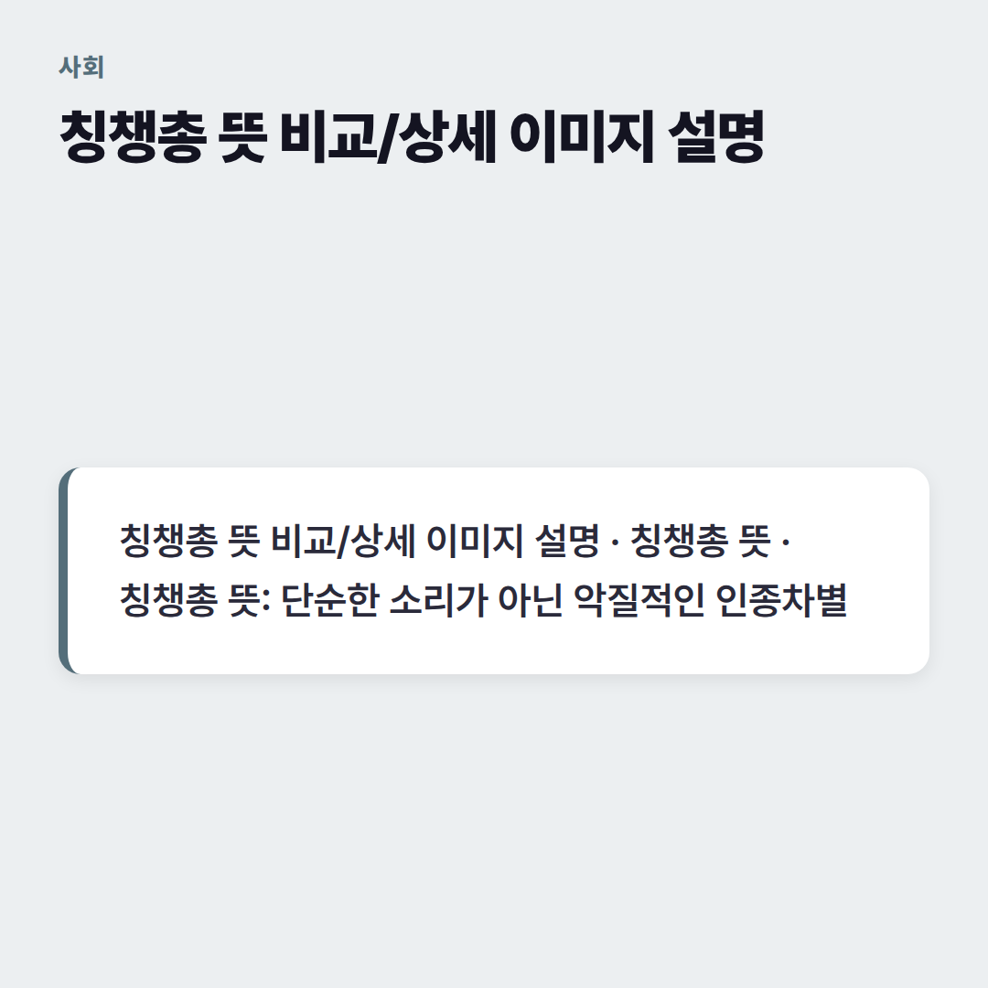 칭챙총 뜻 비교/상세 이미지 설명