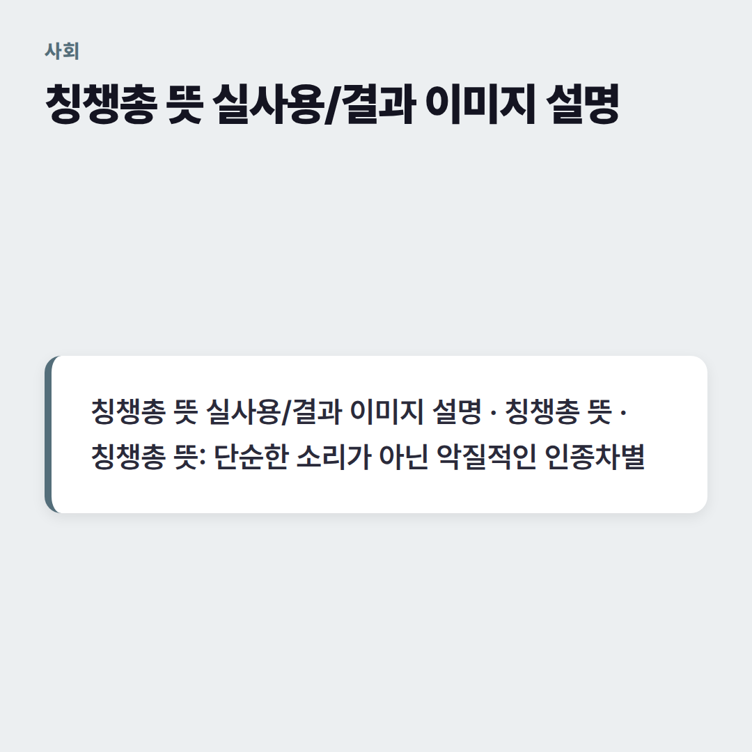 칭챙총 뜻 실사용/결과 이미지 설명