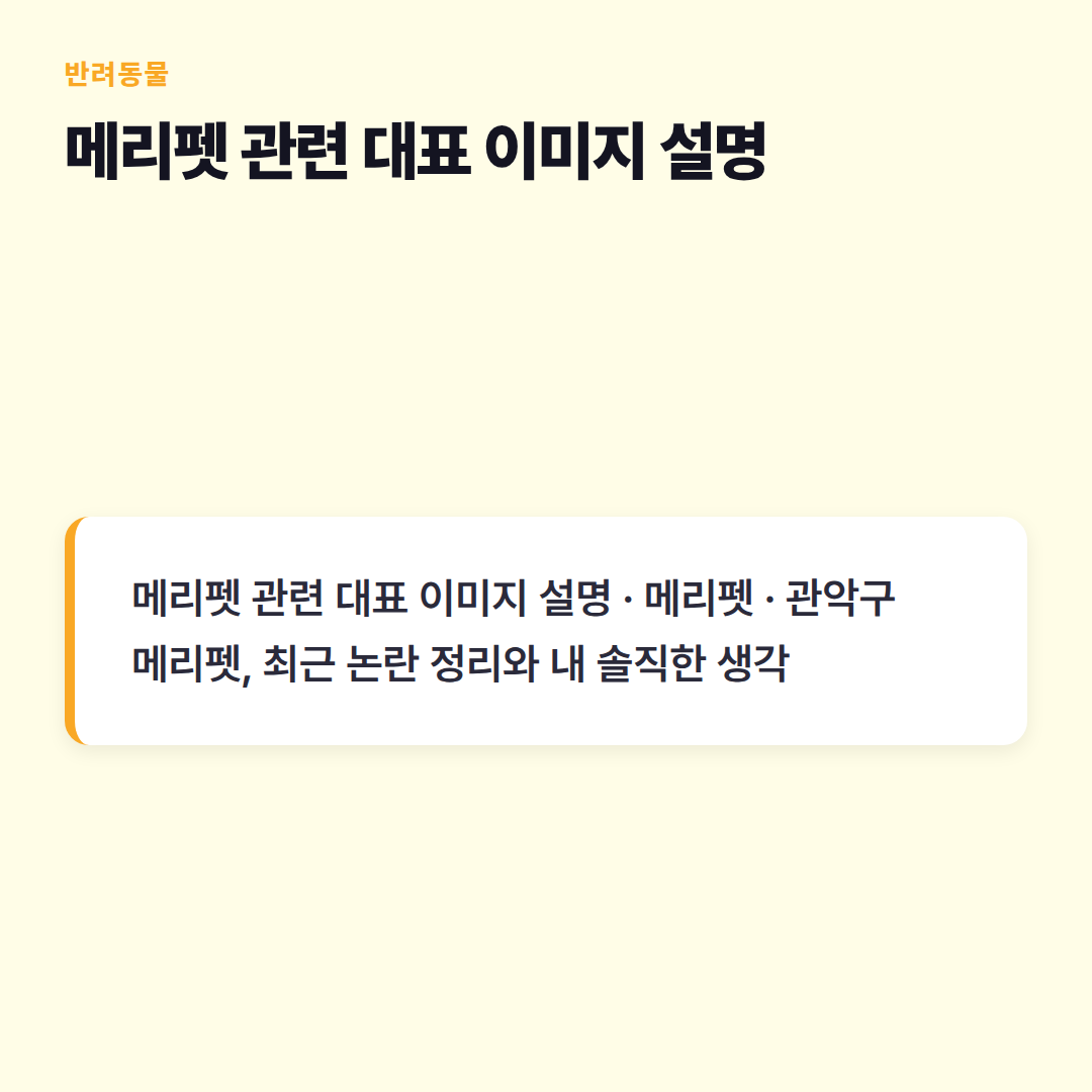 메리펫 관련 대표 이미지 설명