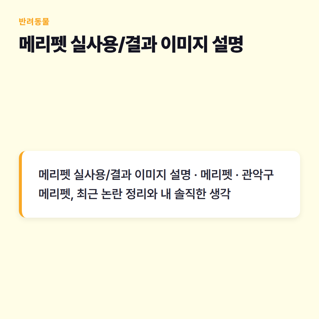 메리펫 실사용/결과 이미지 설명