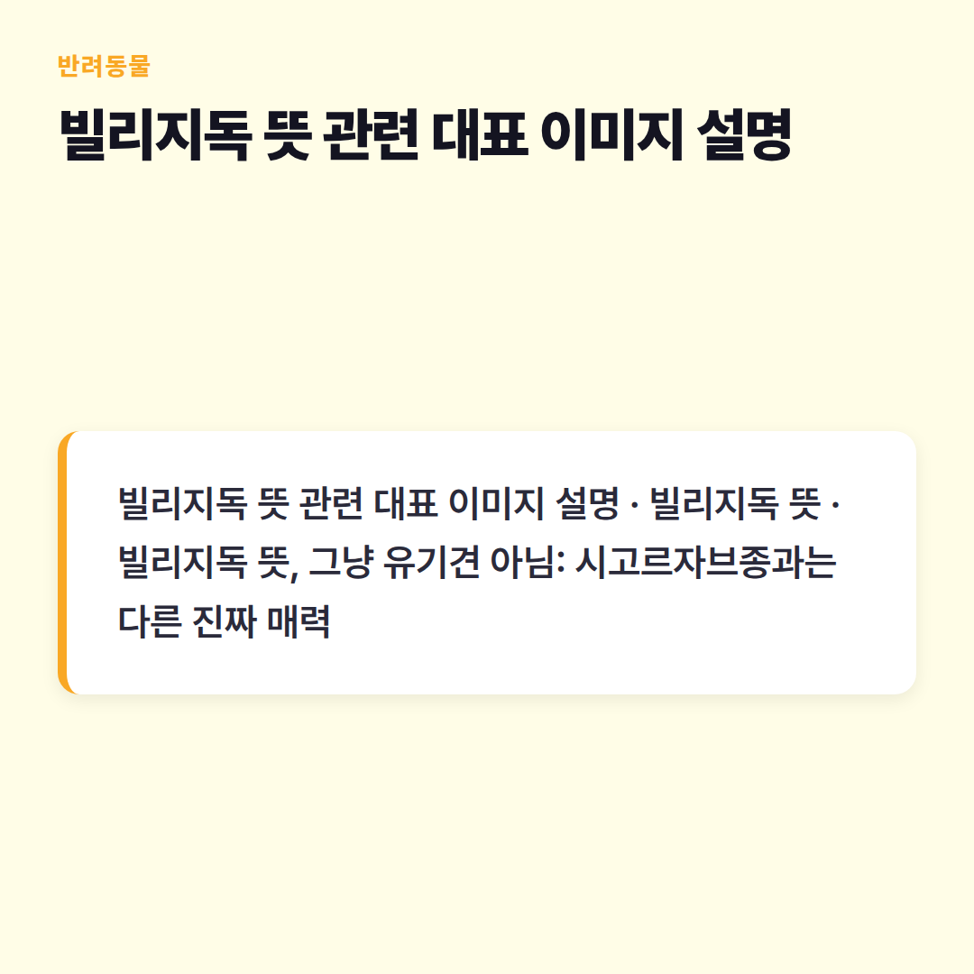 빌리지독 뜻 관련 대표 이미지 설명