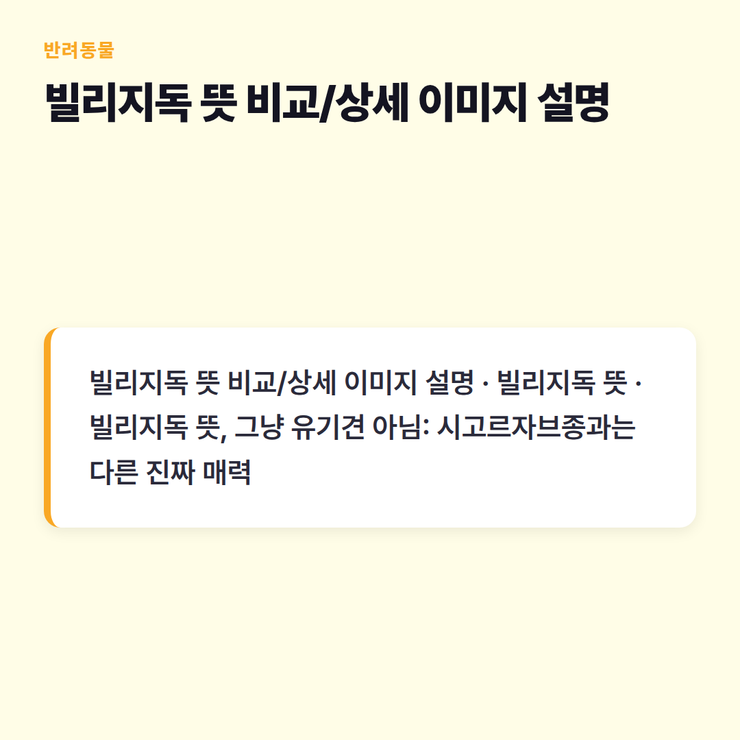 빌리지독 뜻 비교/상세 이미지 설명