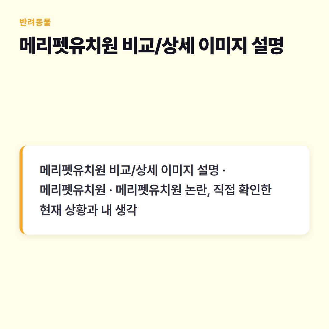 메리펫유치원 비교/상세 이미지 설명