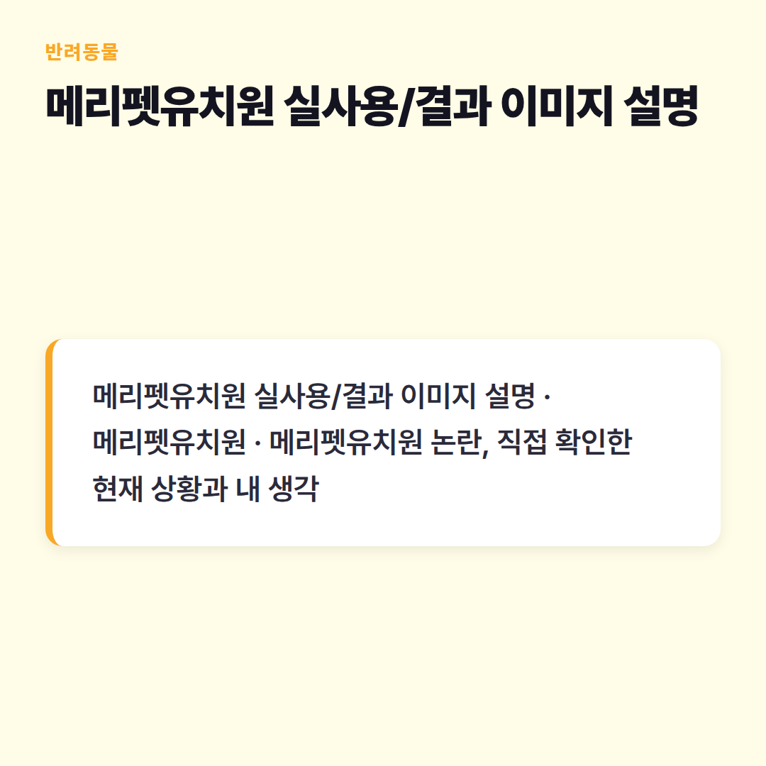 메리펫유치원 실사용/결과 이미지 설명