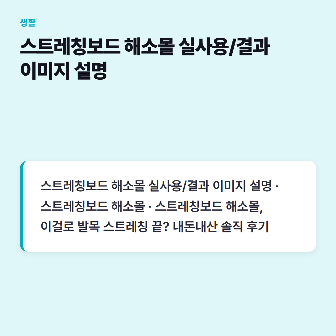 스트레칭보드 해소몰 실사용/결과 이미지 설명
