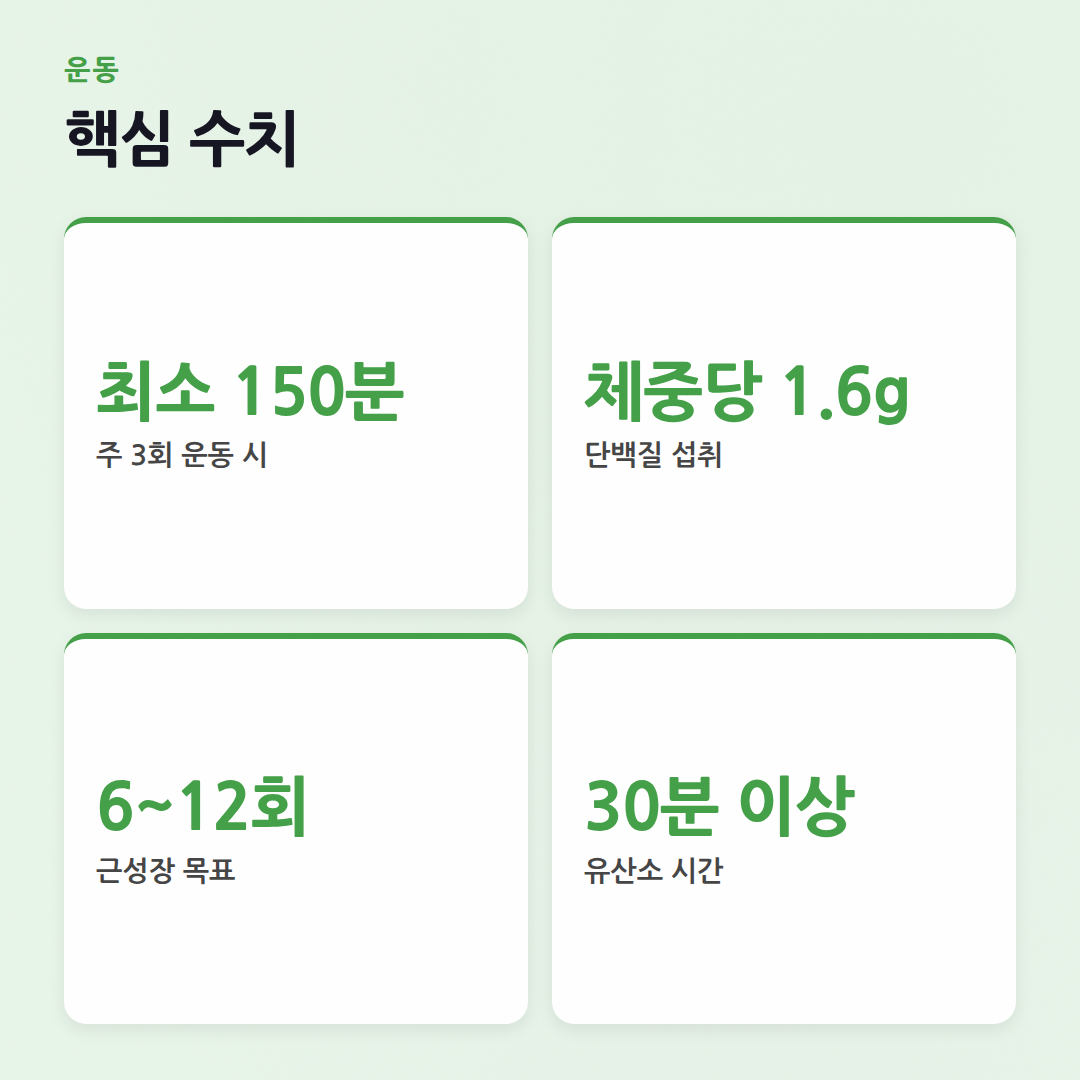 운동 자주 묻는 질문: 핏코치가 알려주는 핵심 가이드 - 핵심 수치