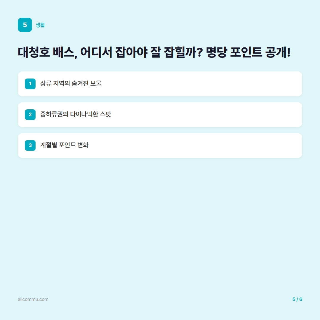 대청호 배스 낚시, 이것만 알면 당신도 강태공! 성공 비법 대공개 - 대청호 배스, 어디서 잡아야 잘 잡힐까? 명당 포인트 공개!