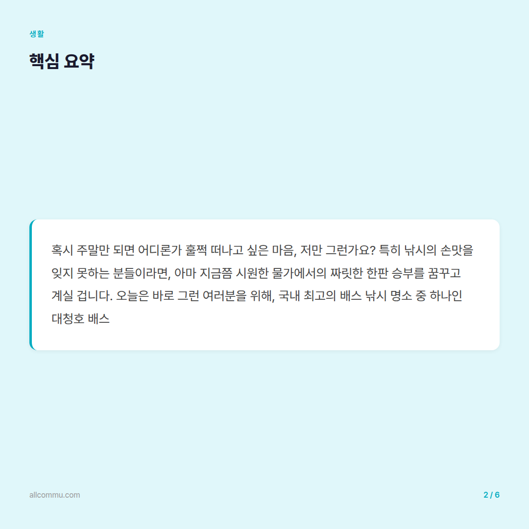 대청호 배스 낚시, 이것만 알면 당신도 강태공! 성공 비법 대공개 - 요약